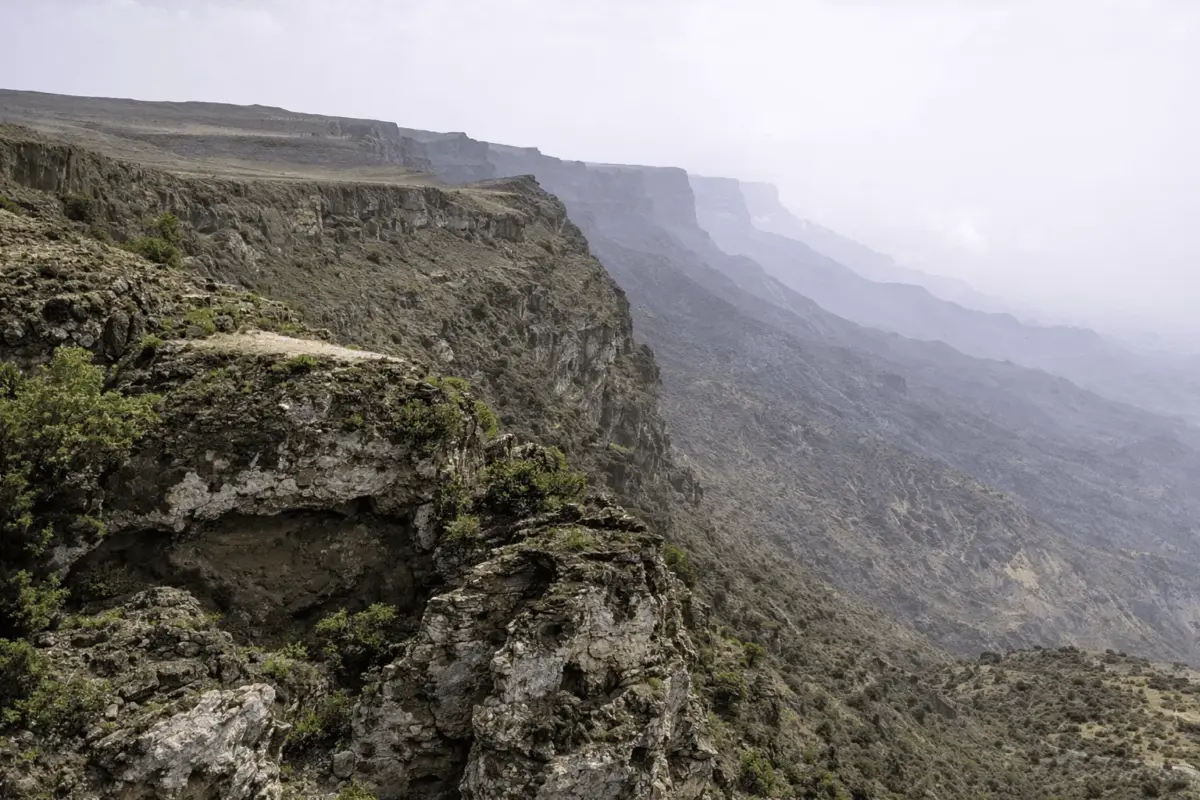 Things to do in Salalah