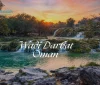 wadi darbat oman