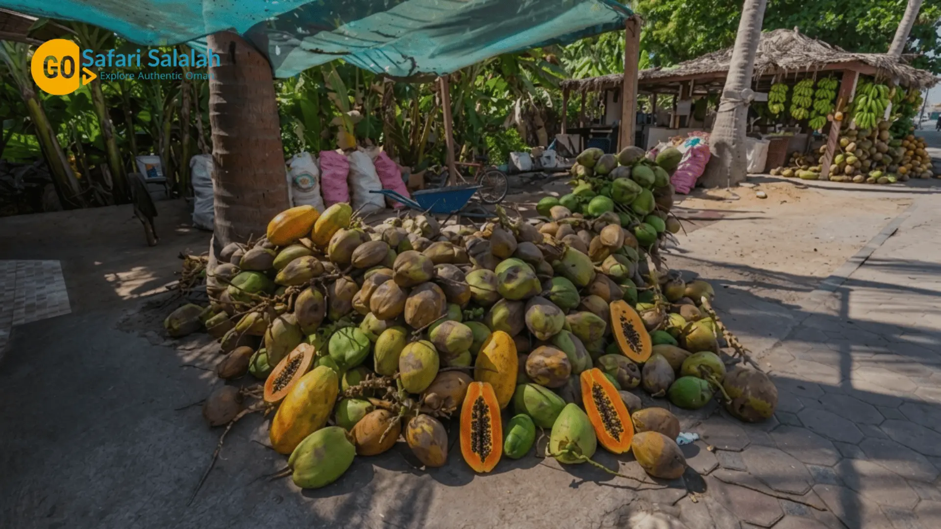 Fresh Papayas and Coconuts salalah khareef festival
