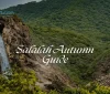 Salalah Autumn Guide