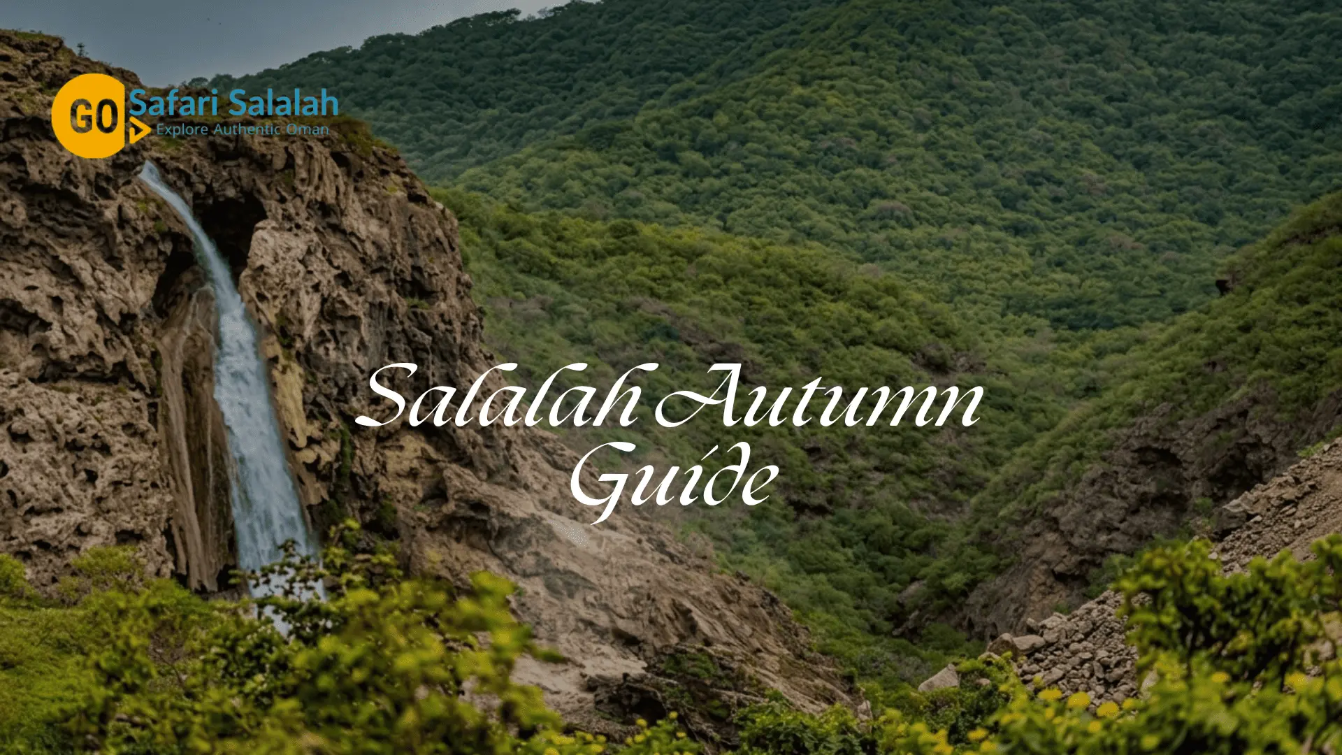 Salalah Autumn Guide