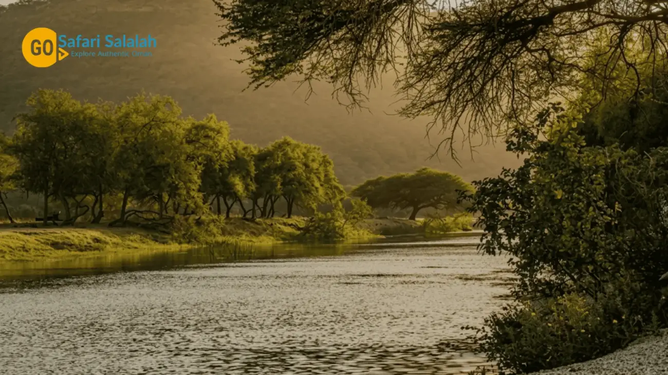 salalah monsoon season Wadi Darbat Salalah