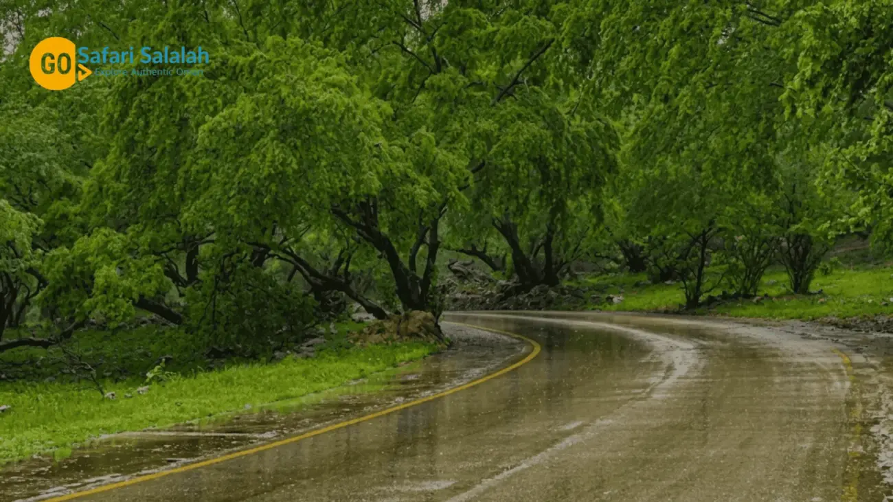 free things to do in Muscat salalah autumn