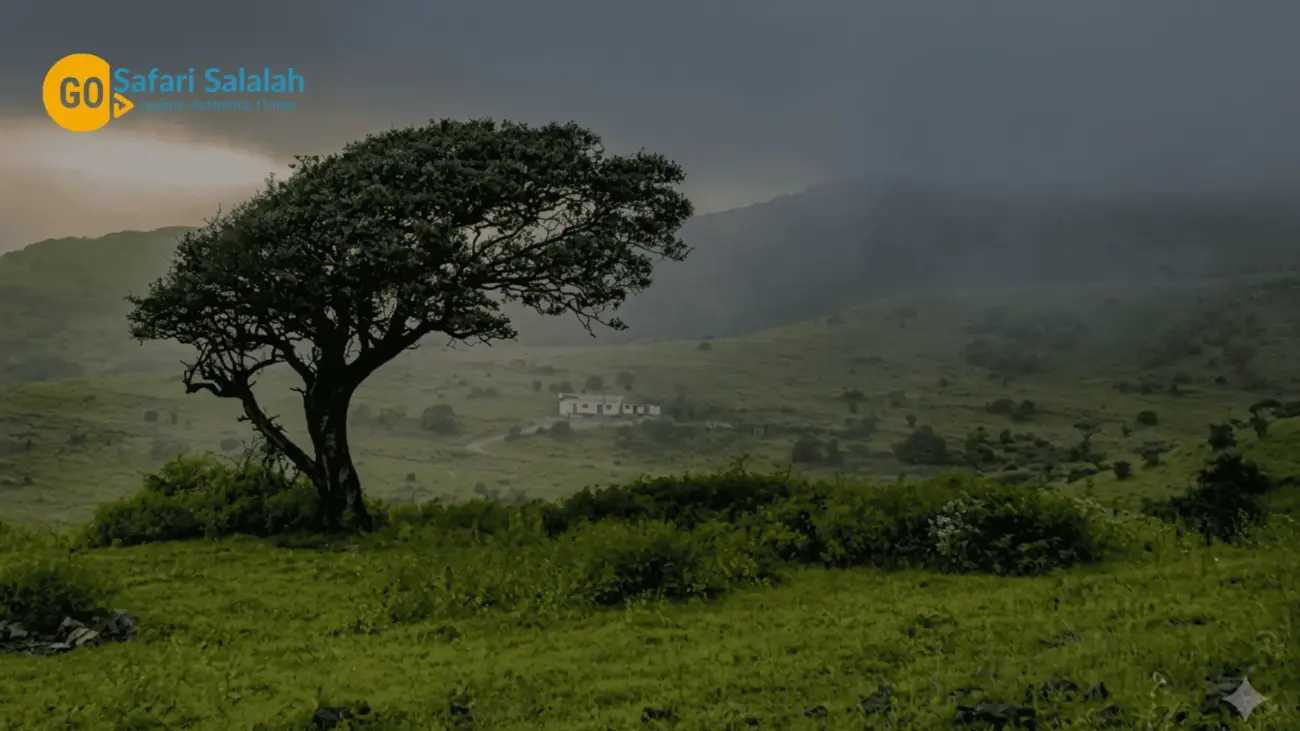 salalah autumn affordable Oman itinerary