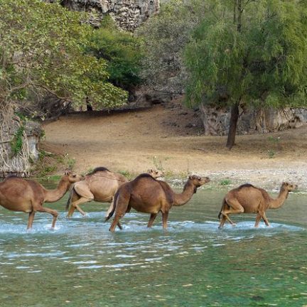 Ayn Razat Salalah tour