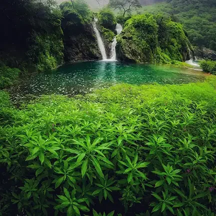 Ayn Jarziz Go Safari Salalah