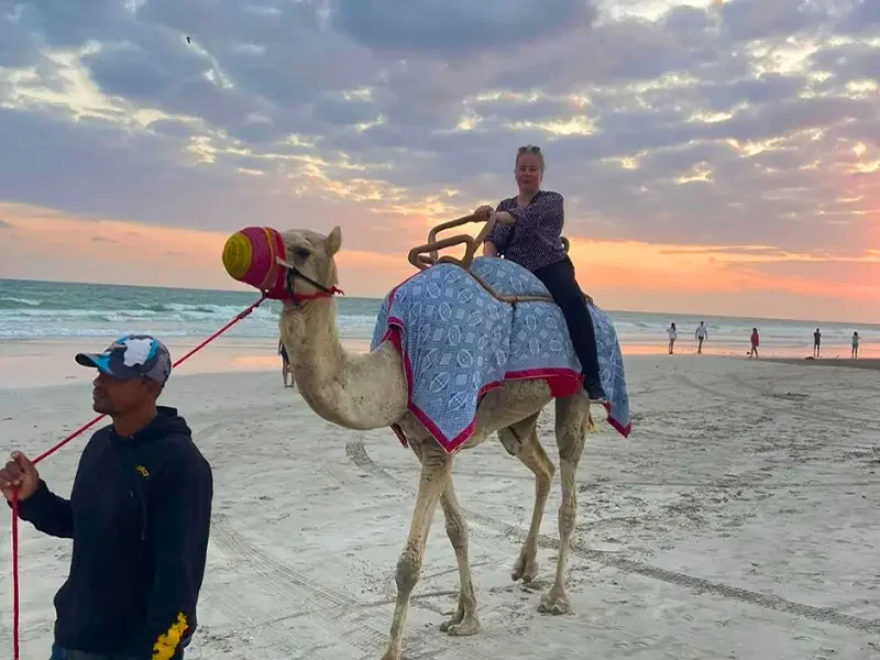 Camel Riding At Salalah Beach