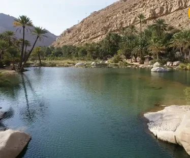 day trips from muscat oman​