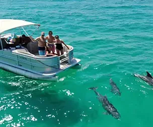 Dolphin Watching in Salalah