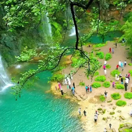 Flora and Fauna Ayn Athum Salalah Oman