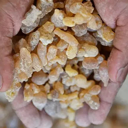 Frankincense in Everyday Omani Life