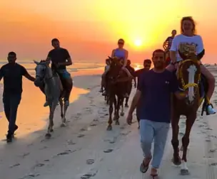 Horse Riding Salalah Beach