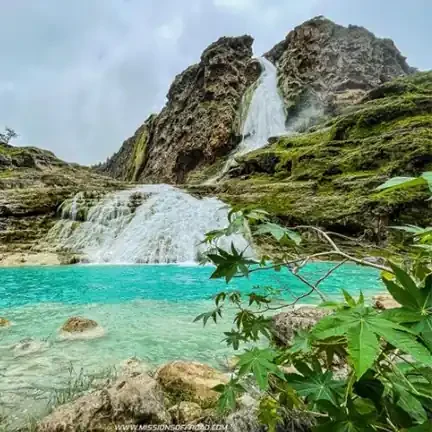 Lush Vegetation wadi darbat