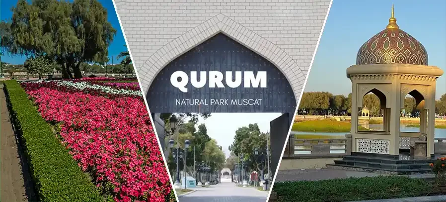 Natural Highlights of Qurum Natural Park – One of the Best Parks in Oman