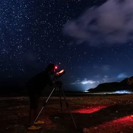 Plan Your Turtle Adventure Now