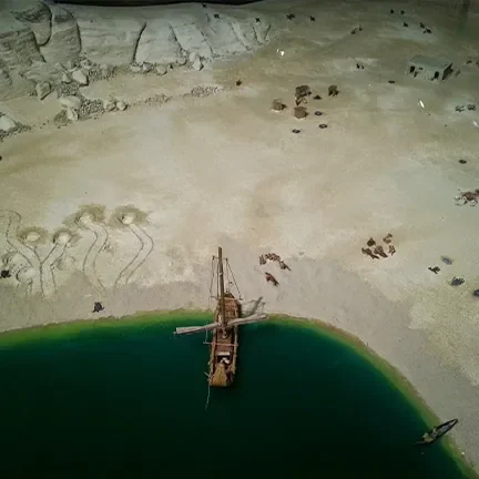 Protecting the Future of Oman’s Sea Turtles