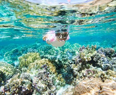 Snorkeling in Salalah Tour