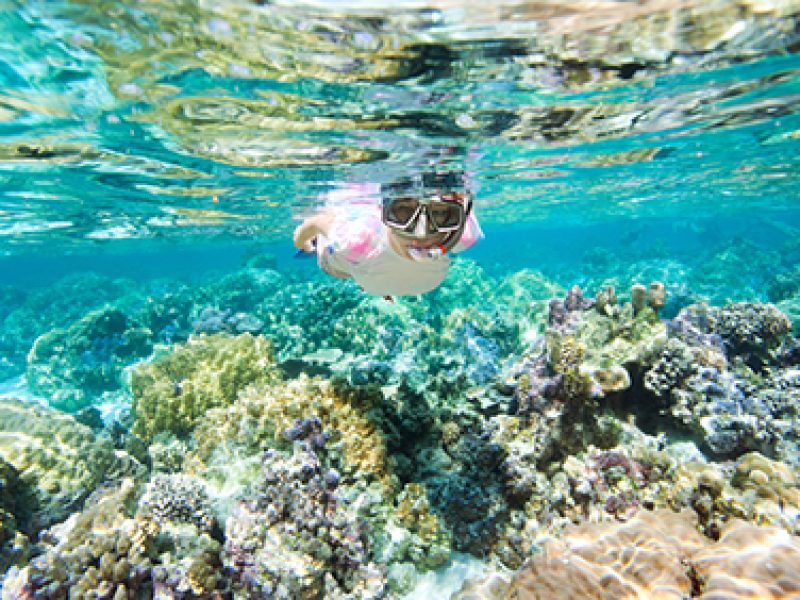 Snorkeling-In-Mirbat-Near-Salalah-1.jpg
