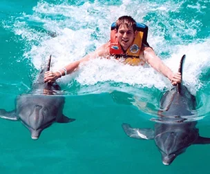 Swimming With Dolphins in Salalah (1)