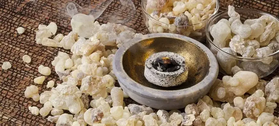 The Economic Importance Today