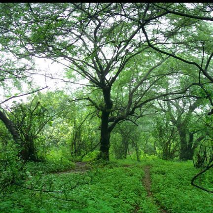 Tourist Attractions in Salalah,
