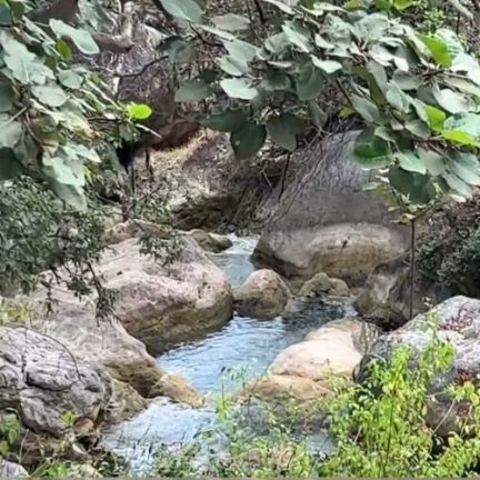 Salalah Water Springs