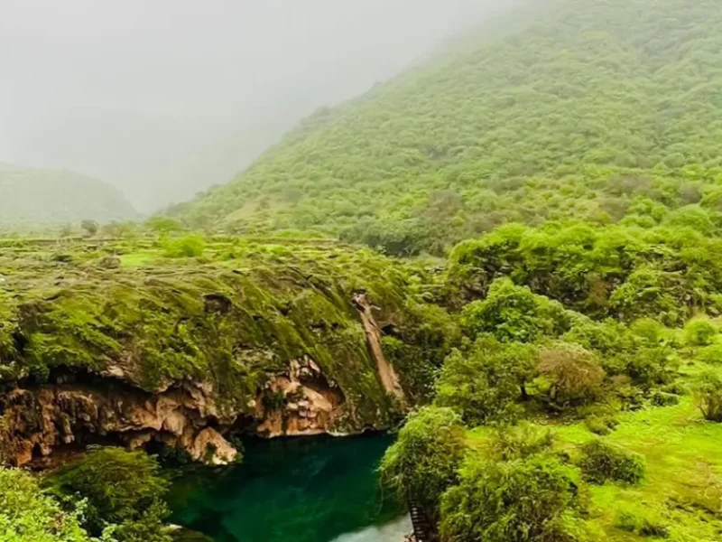 West-Khareef-Tour-–-Coastal-Wonders-Mountain-Views