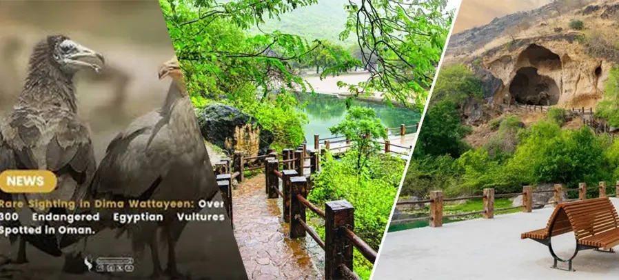 What Makes Ain Razat Special?